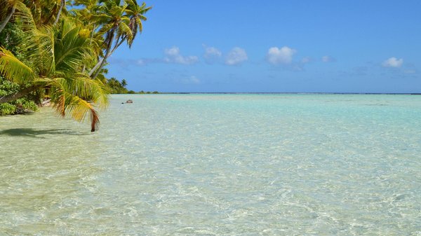 Où trouver des cours de calligraphie japonaise en Tokyo?